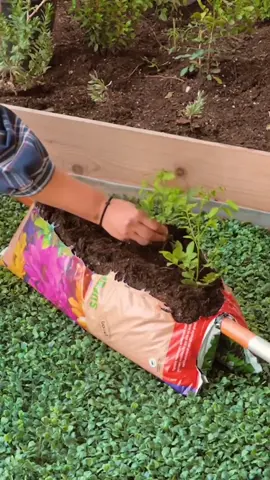 No time is not an excuse! Garden in minutes with these simple tricks 🌱 #gardening #hacks #DIY #fyp #greenlife #plantsoftiktok #tips 
