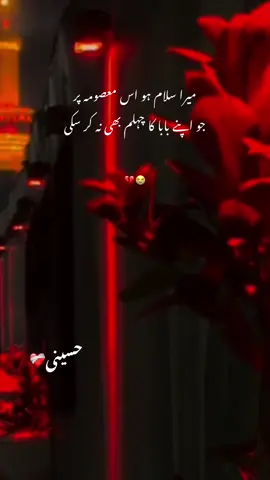 ہائے بی بی سکینہ 💔😭 #Maula_Ali #Hussaini❤️‍ #panjtani🚩 #hussainii888 #Muharram20#chelumimamhussainع 