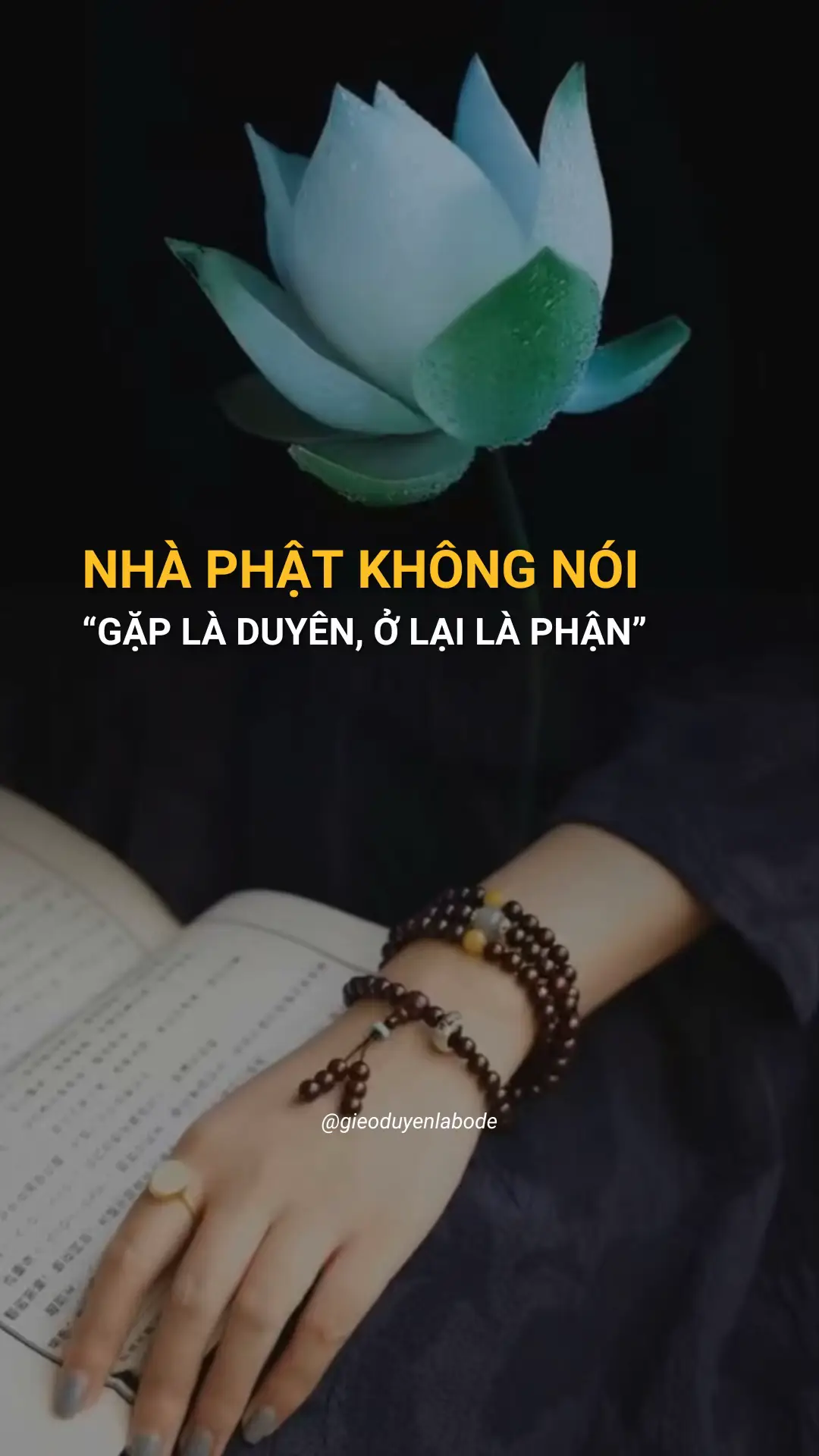 Xin thường niệm Nam Mô Bổn Sư Thích Ca Mâu Ni Phật 🪷#kinhphapcu #niemphat #phatphap #thichphaphoa #chanhniem #tutap #phattrongtam #loiphatday 