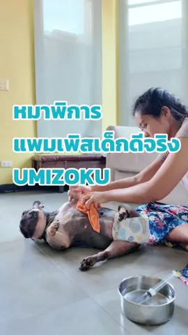 ใช้ตลอดชีวิต ถึงไม่มีลูกก็จะซื้อแต่ยี่ห่อนี้เท่านั้น ใช้ดีจริงแม่ #หมา #บอกต่อ #รีวิว #แพมเพิสเด็ก #umizoku #ฟิตตามชิ #กินตามชิ #ชิว่าดี #Chivadee #ชิตา #Chita #ออกกำลังกายที่บ้าน #ดูแลตัวเอง #Medese #ผลิตภัณฑ์โดยแพทย์  #กินง่ายHaelthy  #MedeseFamily  #ห้องรีดพิษ #ChitaMedese  #ชิตาMedese 