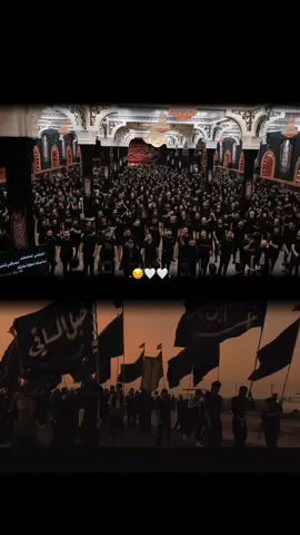 #هلا_يلمانسيت_وعلى_الوعد_تحضر #حسين_طاهر #باسم_الكربلائي 