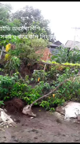 সবাই ৩ টা কপি লিং করে দিবা