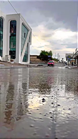 کوان خەباتیە کانن🤍 کوردوستان/خەبات/هەولێر/سڵێمانی/سۆران/قەلادزێ/چۆمان/دەربەندیخان/کۆیە/کەلار/کفرین/لایک/کەن/دلن/ئەکتیڤ/سفرە/تۆزێک/ئەتیڤ/برانن#ئەکتیڤبن🥀🖤ـہہـ٨ــہ #ئەکتیڤ_سفڕە_یەک_تۆز_ئەکتیڤ_بن_دڵەکان😻💔 