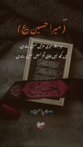 SALAM YA HUSSAIN AS ❤️‍🔥🙏 #labaik_ya_hussain  #10millionviews  #foryoupagе  #growmyaccount✅  #imamhussain  #imamhussainع  #goviralgo  #shiastatus 