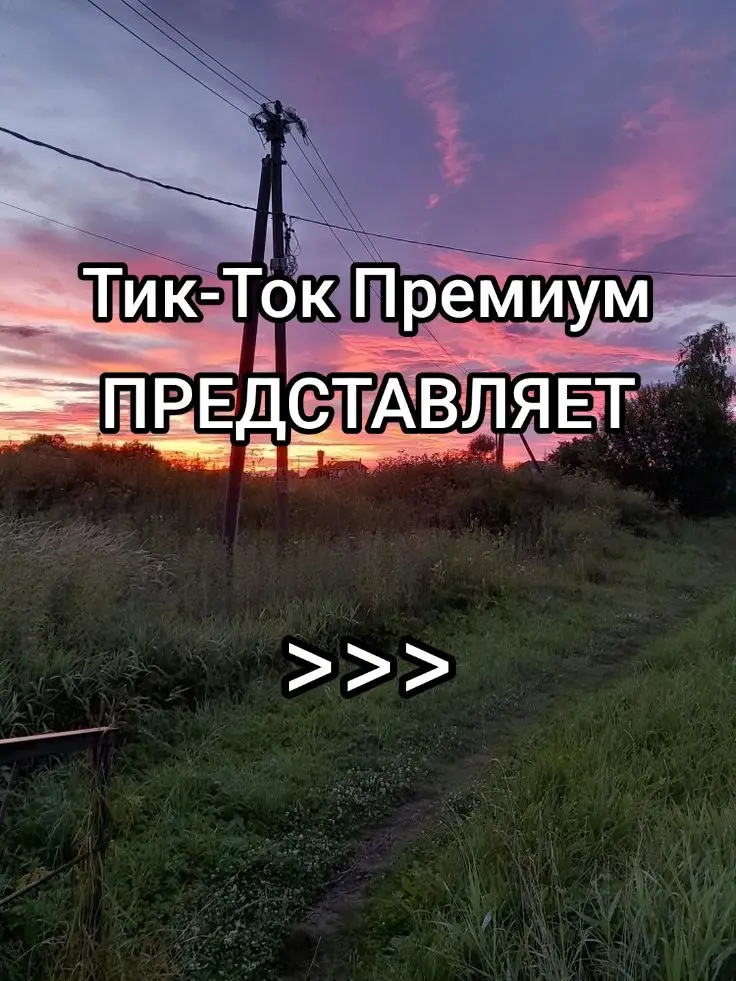 #тиктокпремиум #пубертат #найкпро #вайб #топ #рек #лето
