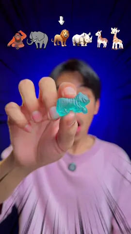 Makan gummy binatang 😱🦧🐘🐅🦏🦓🦒 #animals #food #Foodie #gummy #jelly #mukbang #eatingshow #emojichallenge #makan #makananviral #makansesuaiemoji #funny #asmr #mukbangers 