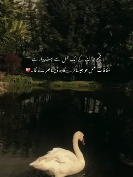 🖤🥺#CapCut #1millionaudition #fyp #viral?videotiktok😇😇 #1millionviews #growmyaccount #unfreezemyacount #viralvideotiktok #islamic_video #tiktok #fyyy #foryou 