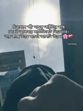 #CapCut দিনশেষে 