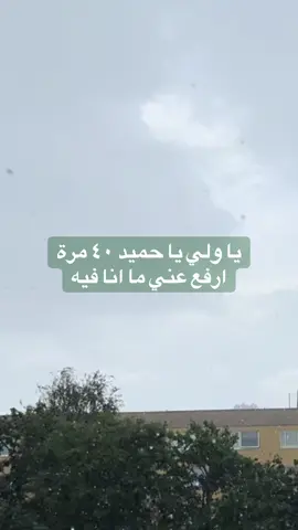يا ولي يا حميد