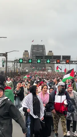 Massive crowd turning back from the Sydney Harbour Bridge! Sydney March for Humanity! For Gz! for Palestine! (3 Aug 25)