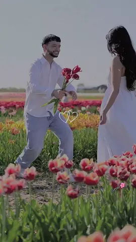 شفت كيف الورد يزهر بالربيع🌸#🌿 #ناصر_الوبير #اكسبلور #fyp #edit 