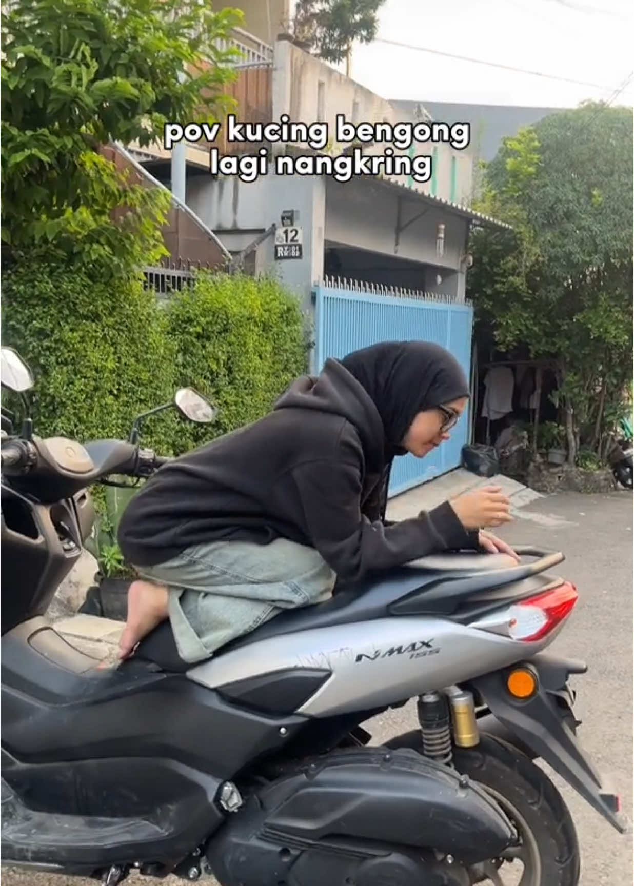 bingung bedain kucingnya yg mana #ziandkai