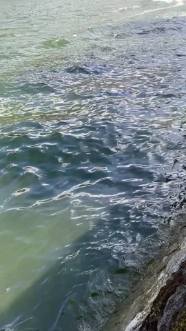 Candu nya vibes sarangan with lamunan #sarangan #tawangmangu #karanganyar #telagasarangan #lamunan #magetan 