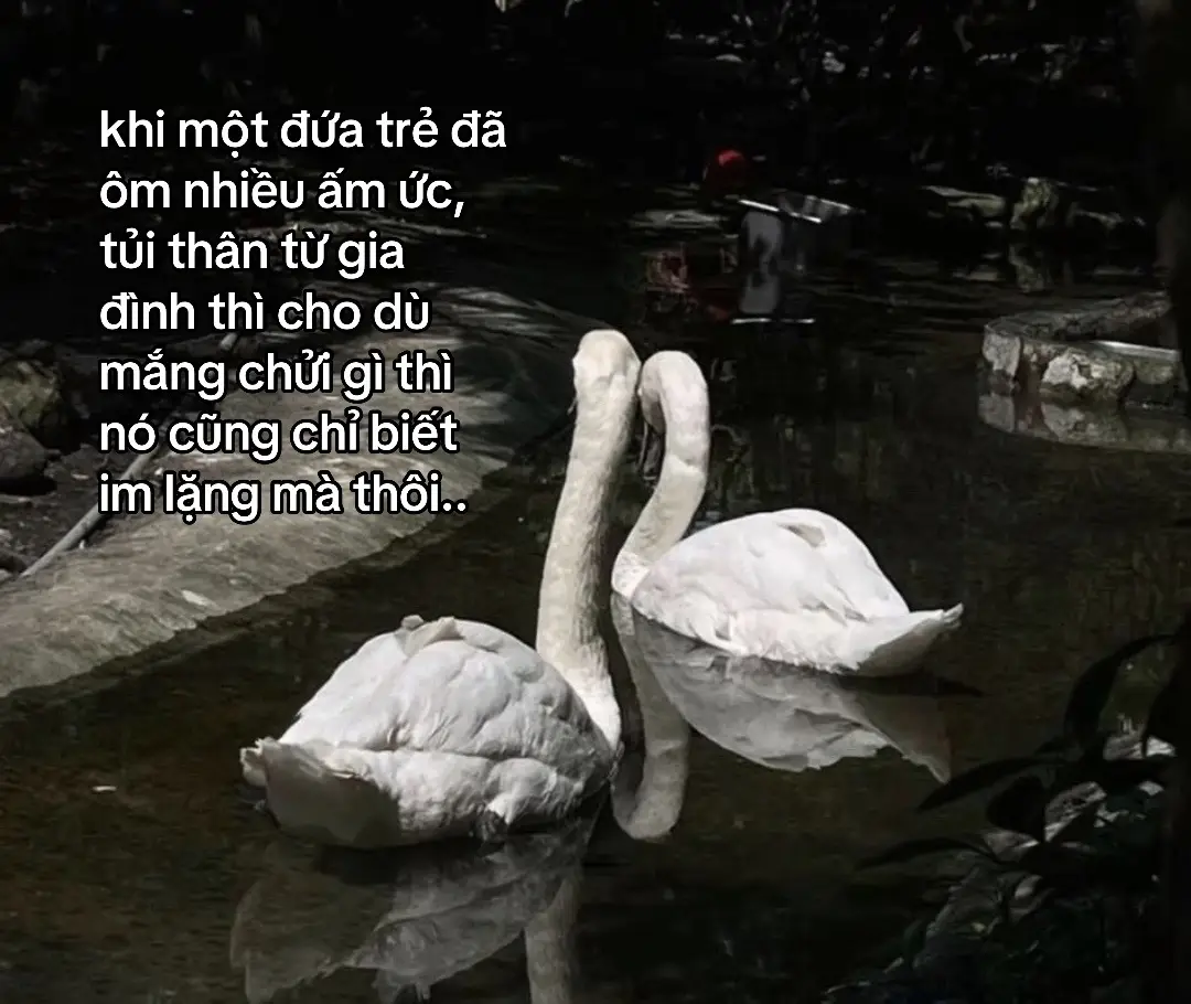 #xuhuong #xh #xhhhhhhhhhhhhhhhhhhhhhhh #stt #motminh 