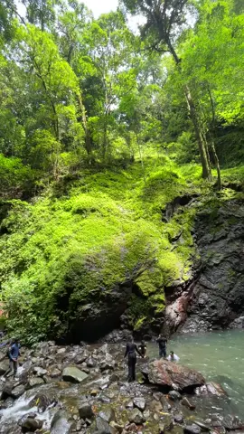 kali kedua ketempat ini bener bener ga bikin bosen,seindah itu pemandangan air terjun nya #mandinmangapan  #solotravel #visitkalsel #explorekalimantan #airterjunmandinmangapan #pesonaindonesia 