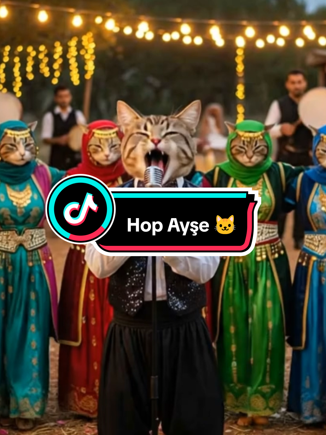 Hop Ayşe 🐱😂#kedivideoları #hop #hopayşe #cat #komik #düğün #halay 