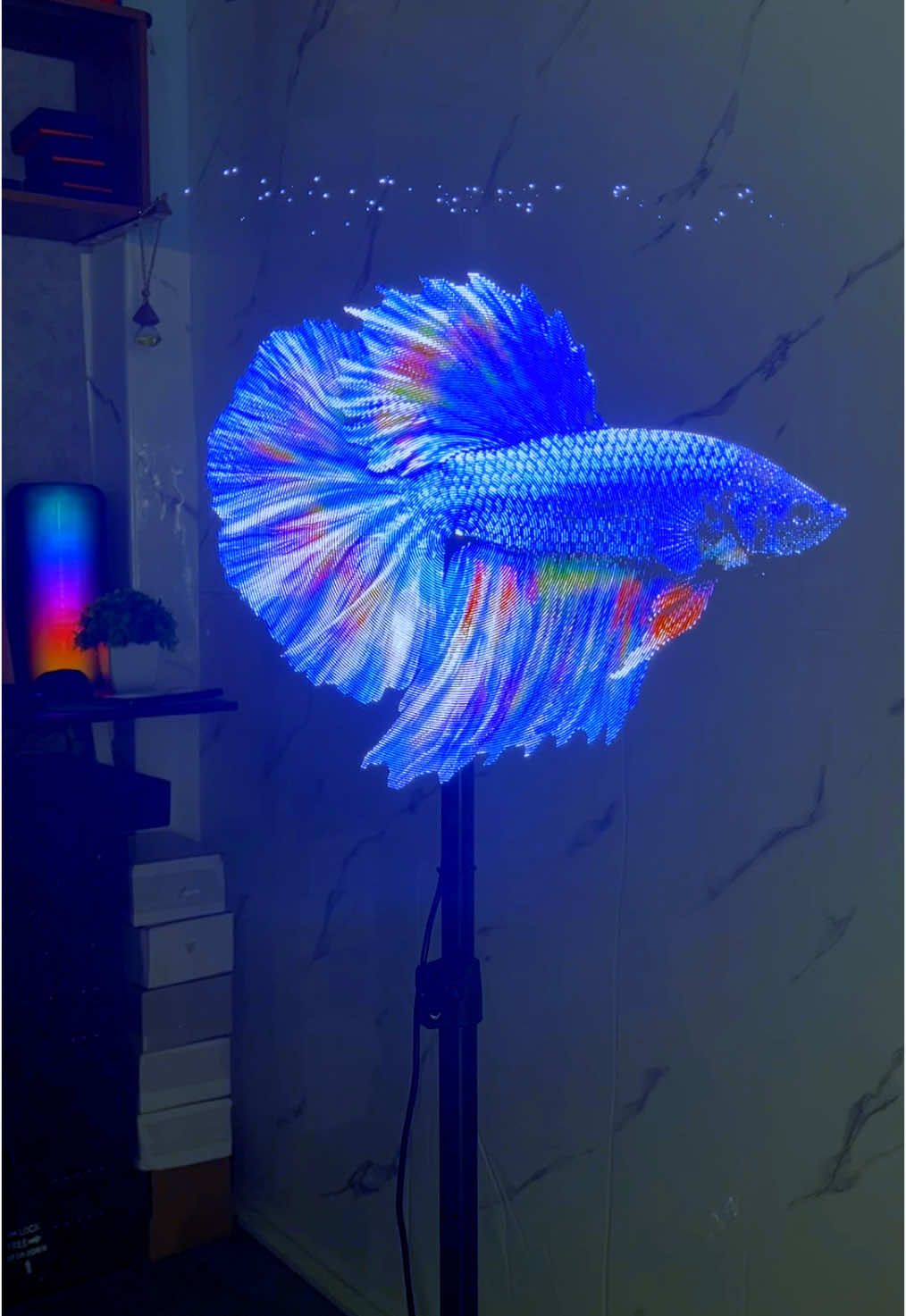 Quạt led 3d hologram trình chiếu cá beta #quatled3dhologram #quatled3d #quatledhologram #shoplinhmail #quat3dhologram 