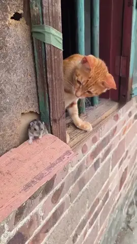 #onthisday they’re now best friends 