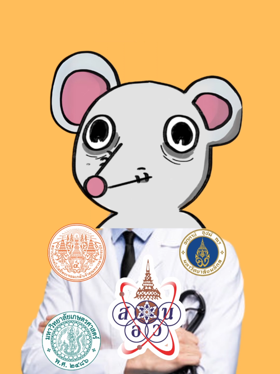 ไม่ที สอวน. จะยื่นพอร์ตยังไงให้ติด? #hamsterhub  #วิศวะคอม  #fyb #dek69 #เก็บพอร์ต 