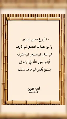 #أبيات_من_الشعر #أدب_عربي #تيك_توك 