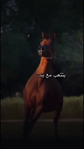 بتتعب مع بنت الأصول👌وانا نصحتك🤷‍♂️#كلام_في_الصميم #بنت_الاصول #ترندات_تيك_توك #احترام #المرأة #بنت_الاصول👑 #الاهتمام #الاخلاق #الاخلاق_دليل_التربيه #تابعوني_رح_نزل_شي_جديد #بنت_الاصول_صعب_لها_الوصول😉😘 #تصميم_فيديوهات🎶🎤🎬 #لايف #لايكات #لايك__explore___ #fypシ゚viral #فولو❤️ #زوجتي #الاهتمام_لا_ياتي_الا_من_قلب_يحبك #الاهتمام_بالحب #ترند_الخليج #fypシ゚ #فولو🙏🏻لايك❤️اكسبلور🙏🏻🌹💫 #تابعوني_فضلا❤ #tiktok #فولومي #متابعة #متابعه_ولايك_واكسبلور_احبكم #لايك_متابعه_اكسبلور #لايك_فولو #الكذب #الاحترام_هو_أجمل_هدية_يقدمها_الإنسان #التربية #التربية_السليمة #تابعني_متخسر_شي_🔴❤️‍ #فولوووو #نشر #تصميم #تصميمي❤️ #فولوووووو❤️❤️하해사랑해❤🦄🌺🌺🌺🌺🌺 #لايك_كومنت #لايك_متابعه #ترند_تيك_توك_مشاهير #الخيل #الخيل_من_خيالها #تابع #funny #مشاهدات #fypp #مشاهير #تابعوني_احبكم #الخيل_العربي_الاصيل🐎 #الخيل_العربي #ترندد #لايكات #متابعه_ولايك #متابعة_قلب_تعليق_مشاركة_ #قروب_اهل_الفن_خليها_وعليها_rm🇦🇪💌 
