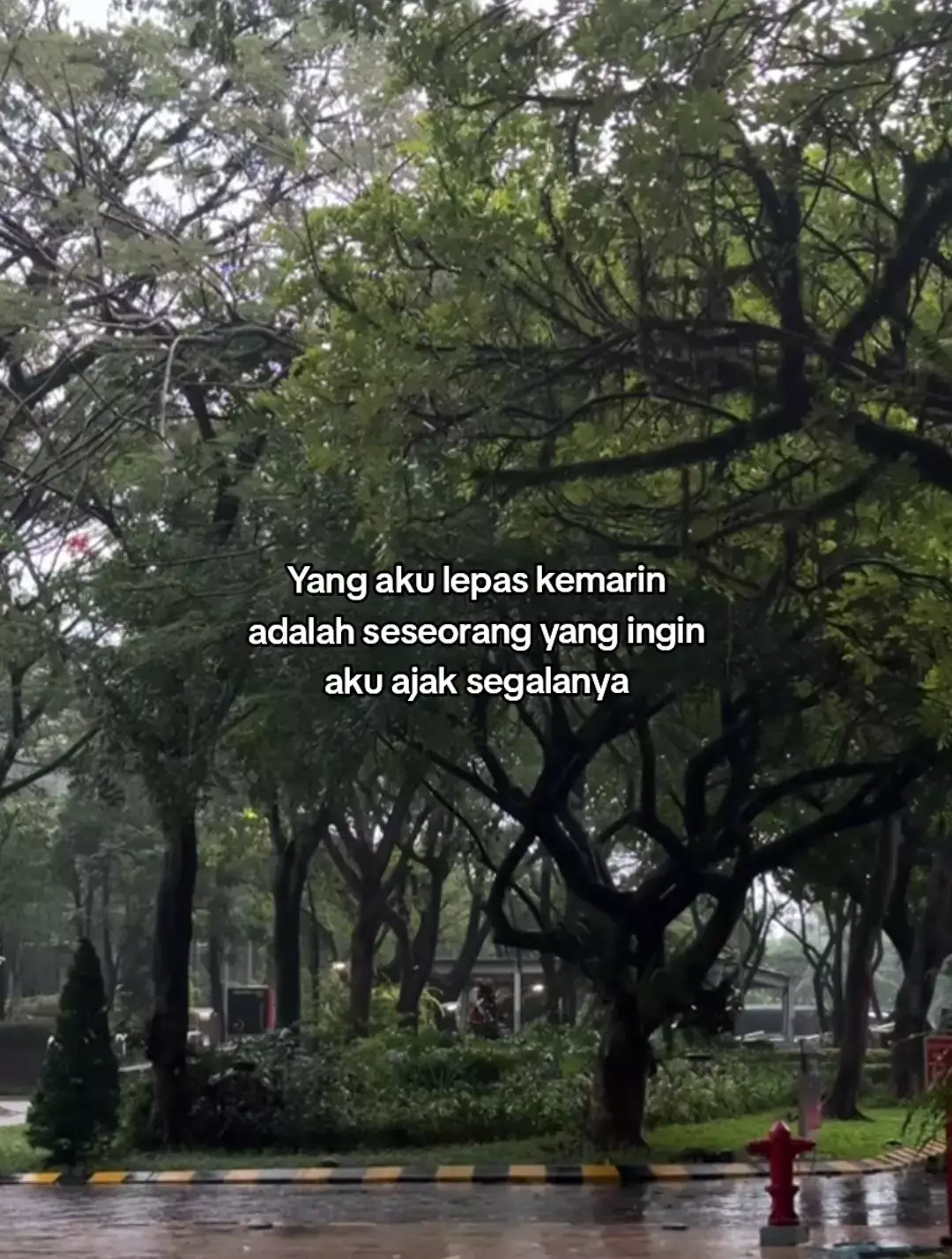 #fyp #katakata #galaubrutal #trend #viral 