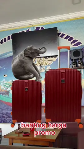 #fyp #[IBKoper] Koper 20-24 Inch Hardcase #beranda #berandatiktok #cuantanpabatas #algoritmotiktok 