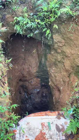 Tất cả chủ là quá lhuws của các pro gold#tamvangdoi #timkiemmovang #timkiemvang 