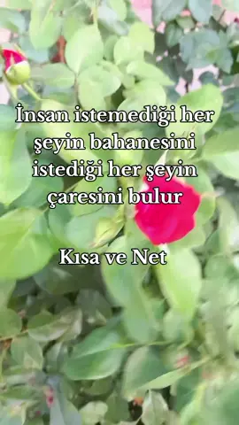 Özlü ve doğru sözler☝️