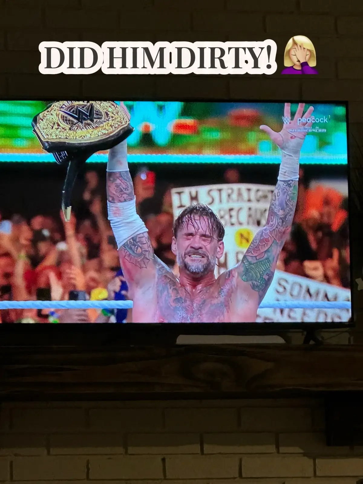 #WWE #SummerSlam #cmpunk #sethrollins 