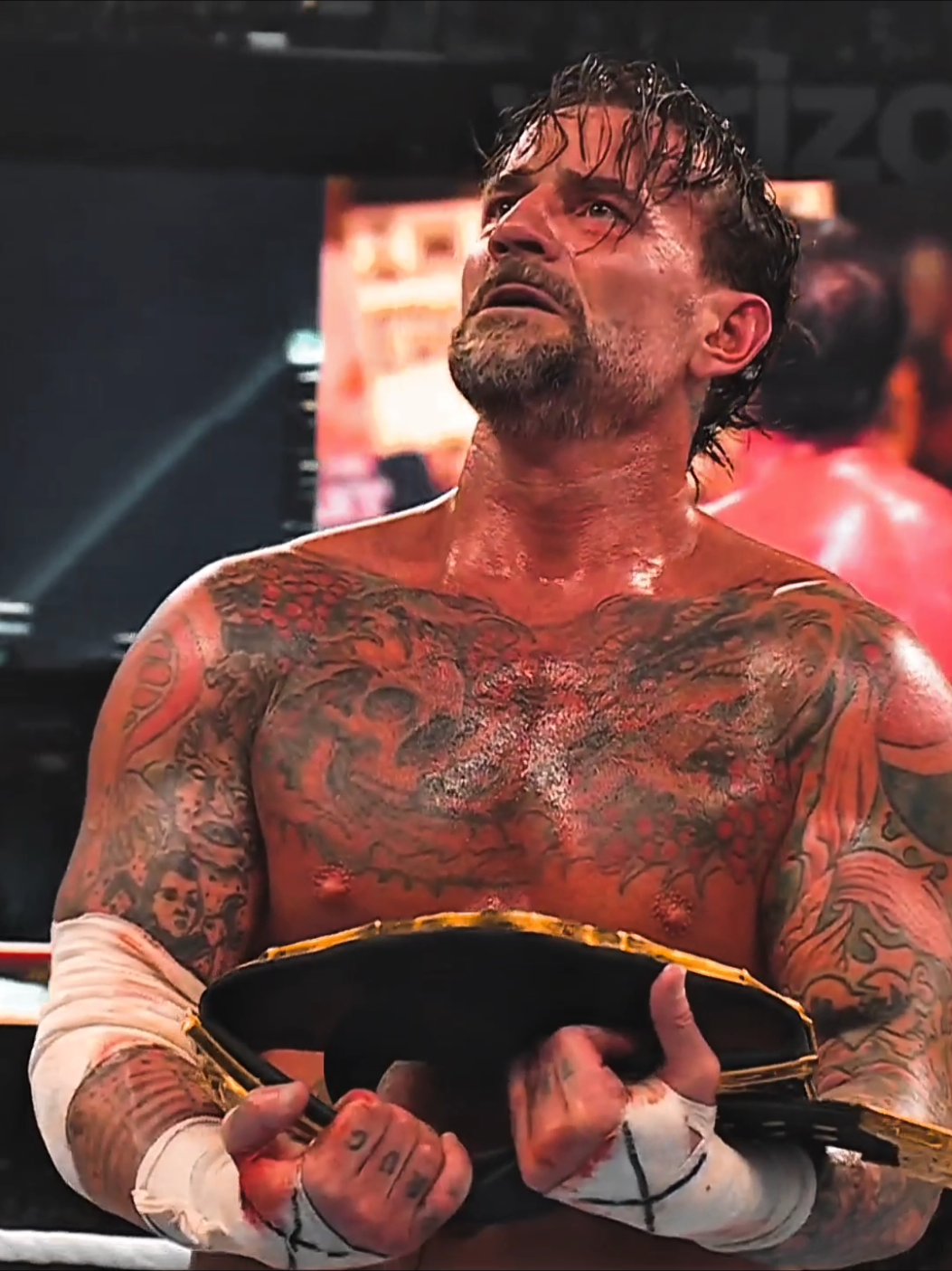 Esa noche de 2009 ví caer a mi ídolo y hoy el tiempo le hizo justicia 🥹 #WWE #cmpunk #SummerSlam #sethrollins #wrestling #prowrestling #prowrestlingvideos #prowrestlingtiktok #fypシ゚ #fypviralシviral 