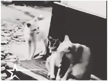 wait for end😆#@Fawad writes #fyp #fulltrending #rizwanmemer #funny #viralvideo #fulltrending 