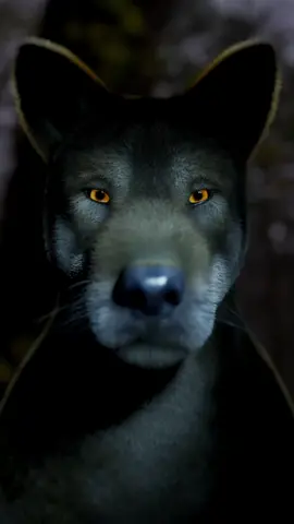 Wolf Rocks #audioslave #wolf #3danimation #krazymations 