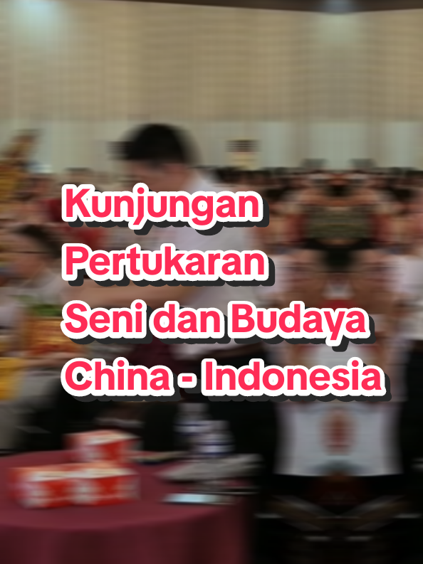 Pertukaran Seni dan Kebudayaan China - Indonesia #pertukaranbudayainternasional #intikepri #shubatam 