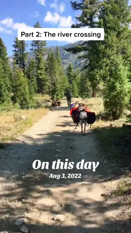 Did you know goats don’t like water?  This is one of my favorite goat backpacking adventures! #onthisday #camping #campingwithgoats #goats #packgoats 