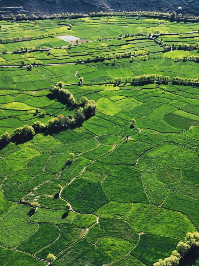 Bird Eye View ParaCHinar Valley 🔗🕊️🍁 #foryou #fypシ゚ #parachinar 