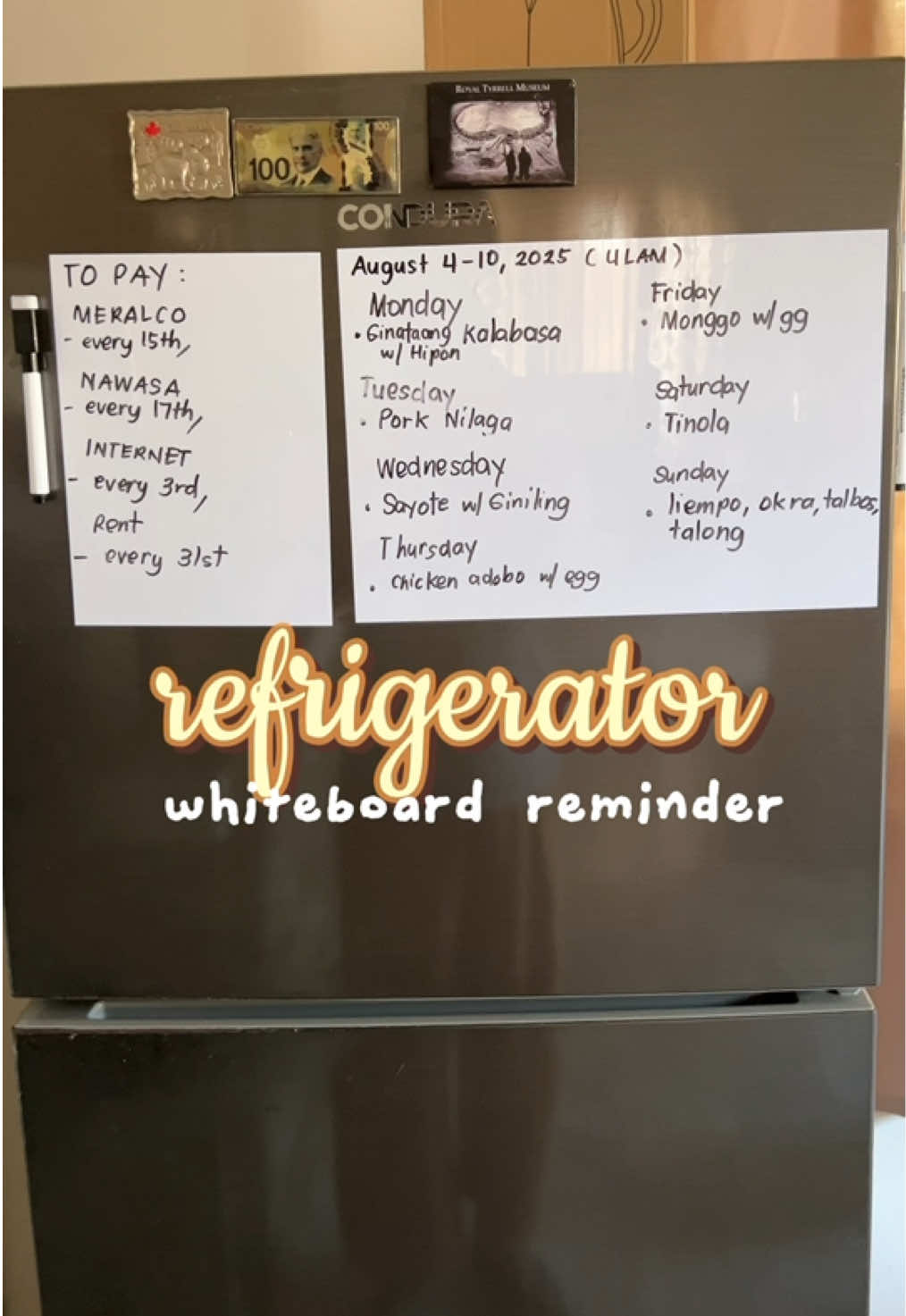 ref whiteboard reminder 📝 #refmagnet #magneticwhiteboard #whiteboardmagnetic #fridgewhiteboard #reminderboard #whiteboardplanner #scheduleorganizer #usefulthingstobuy