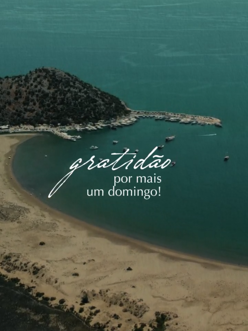 Gratidão por mais um domingo #CapCut #bomdia #gratidao #status #domingo 