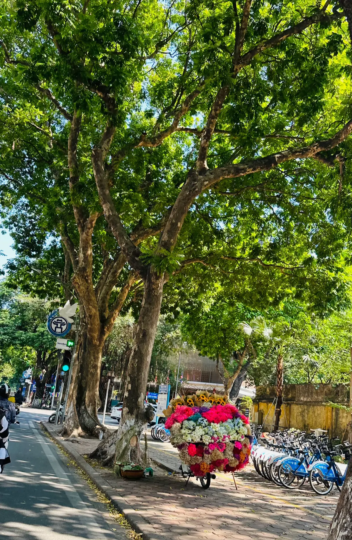 Mình thìch nhất là mùa Thu Hà Nội 😊 còn bạn thích mùa nào nhất nè☺️ #chill #vietnamtoiyeu #dulichvietnam #thuhanoi #viral 