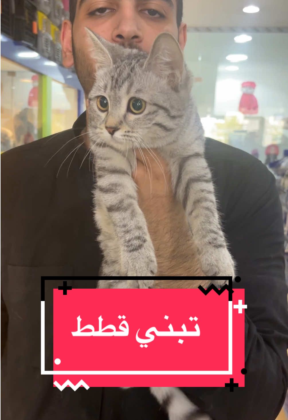 #تبني #تبني_القطط #تبنى_لاتشتري #عربة_الحيوان #مالي_خلق_احط_هاشتاقات #السعودية #اليف #you 