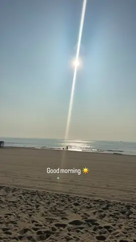 #jerseyshore 