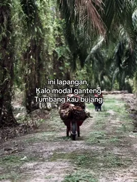 ga kepake di sini😈#sawittiktok🌴🌴🌴 #storysawit #storysawitriau #petanimuda #bossawit #kulibapak #fypシ゚ #CapCut 