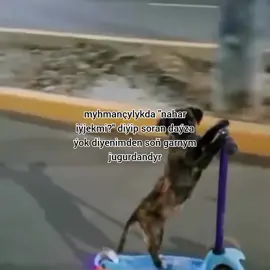 azajyk guýup beräý daýza kyn görmeseň😔 #fyp #sadedning #türkmentok 