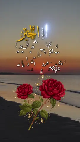 #مسسسسسسسسسسسساء_الورداااات🌹✨🌹 