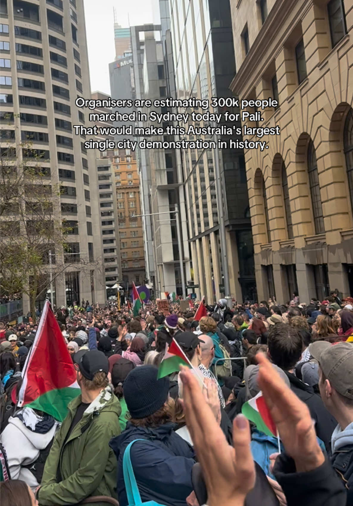 We showed up in our NUMBERS today. Could not be prouder as a sydney-born palestinian. #palestine #freepalestine #freegaza #sydney #protest #march 
