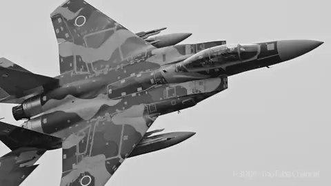 JASDF's F-15 Aggressor Unit Squadron fast edit with teto song #japan #jasdf #aggressorsquadron #f15 #f15dj #teto #military #militaryaviation #aviation #aviationedit #fypage #fypシ゚ #fyp #sparhawk_editz #capcut 