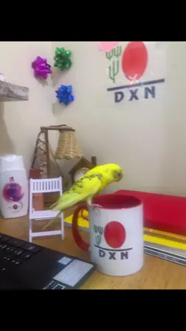 #جاهزة_للتألق 