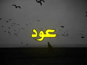 قلبي الوفي الحساس…#عراقي #اغاني_مسرعه💥 #اغاني #fyp #foryou #foryoupage #viral 