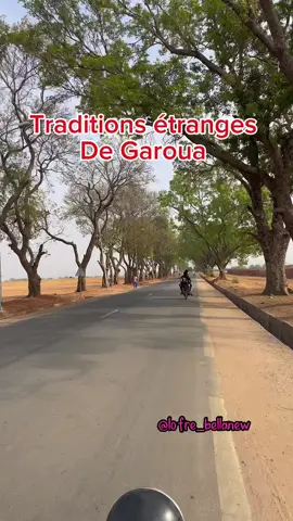 Les choses incroyables que tu trouveras à Garoua. - Respect des feux de signalisation  -Transport moins cher par rapport à Douala -Les hommes commercialisent les condiments verts et légumes  -On cultive le riz à Garoua. En bonus j’organise une master class en création de contenu dans la ville de Garoua en ce mois d’août.#garoua🇨🇲 #actualité237 #tourism #decouverte #masterclass #creationdecontenu #viequotidienne 