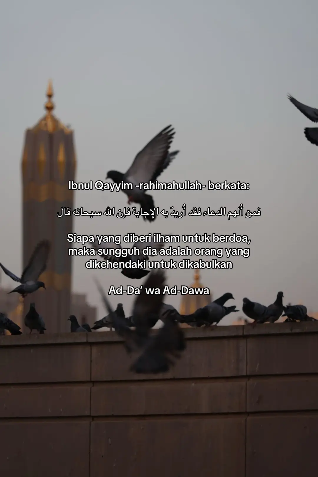 #fyp #islamicquotes 